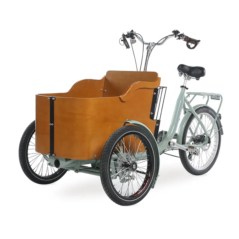 3 גלגלים חשמלי תלת אופן מטען עם מסגרת פלדה מחוזקת מטען אופני אופניים חשמליים e מטען אופני אופניים למכירה