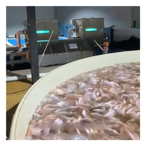 Fish Pond Farming <strong>Drum</strong> Biological Bio <strong>Filter</strong> System Water Fish <strong>Filter</strong> Box Machine Automatic <strong>Drum</strong> <strong>Filter</strong>