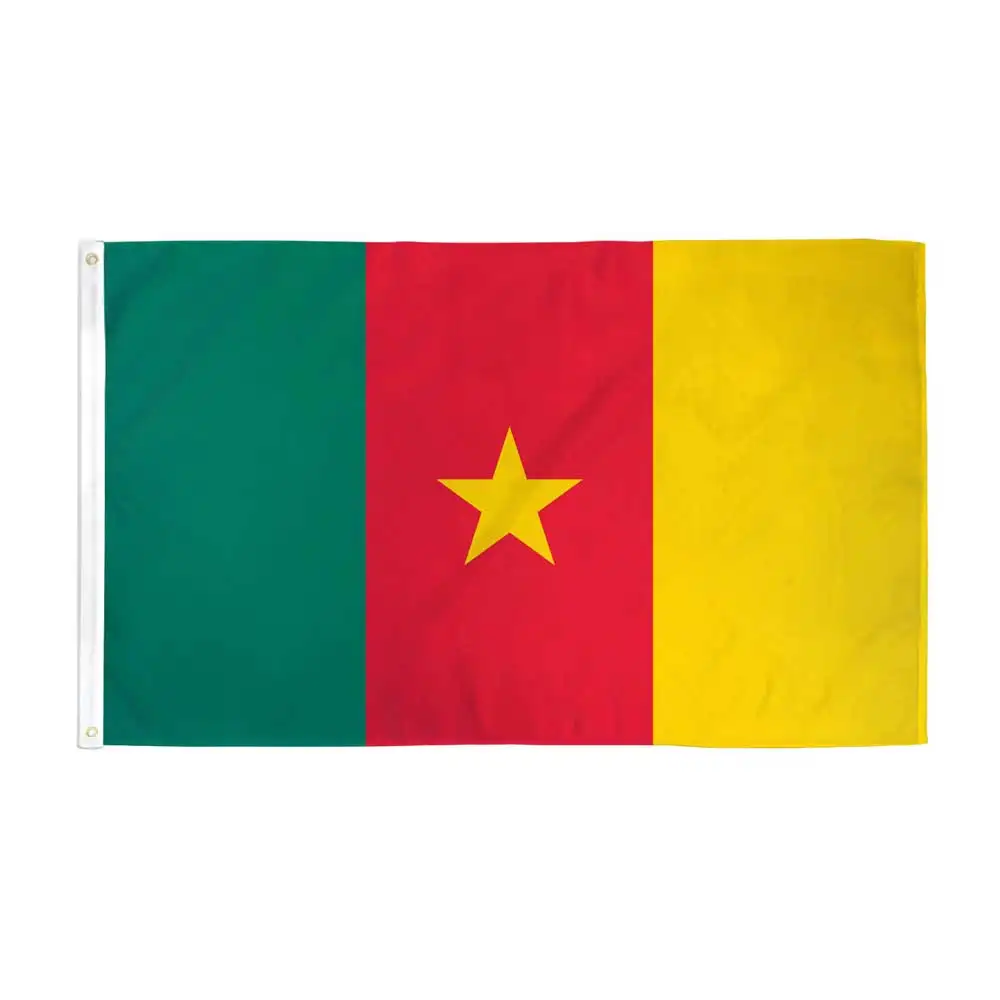 Máquina profissional da impressão da tela do fabricante da bandeira da cameroon grande tela