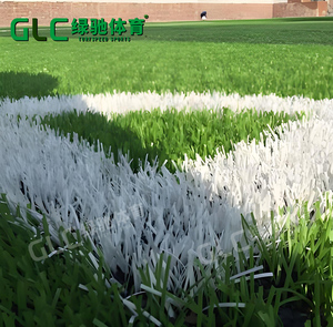 Hạt giống cỏ bóng đá tự nhiên chất lượng cao nhất, cỏ cỏ, sân bóng đá, sân thể thao cỏ nhân tạo - Product Image 4