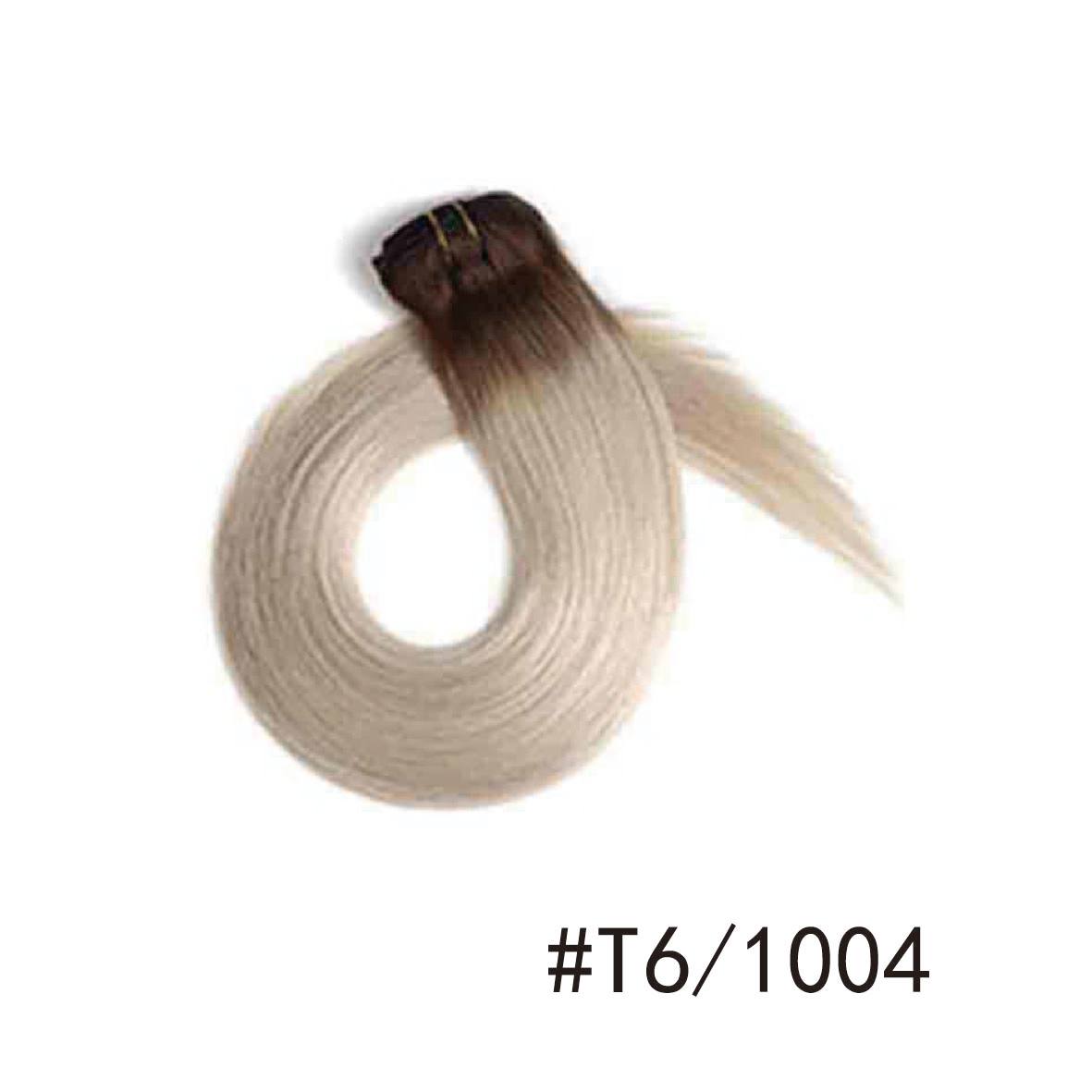 T6/1004