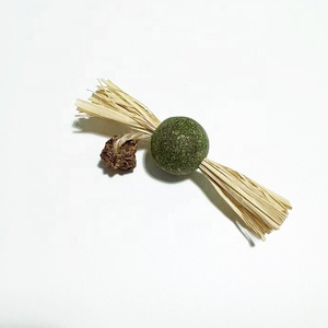 Chewing <strong>Catnip</strong> Toy for <strong>Cat</strong> - Product Image 1