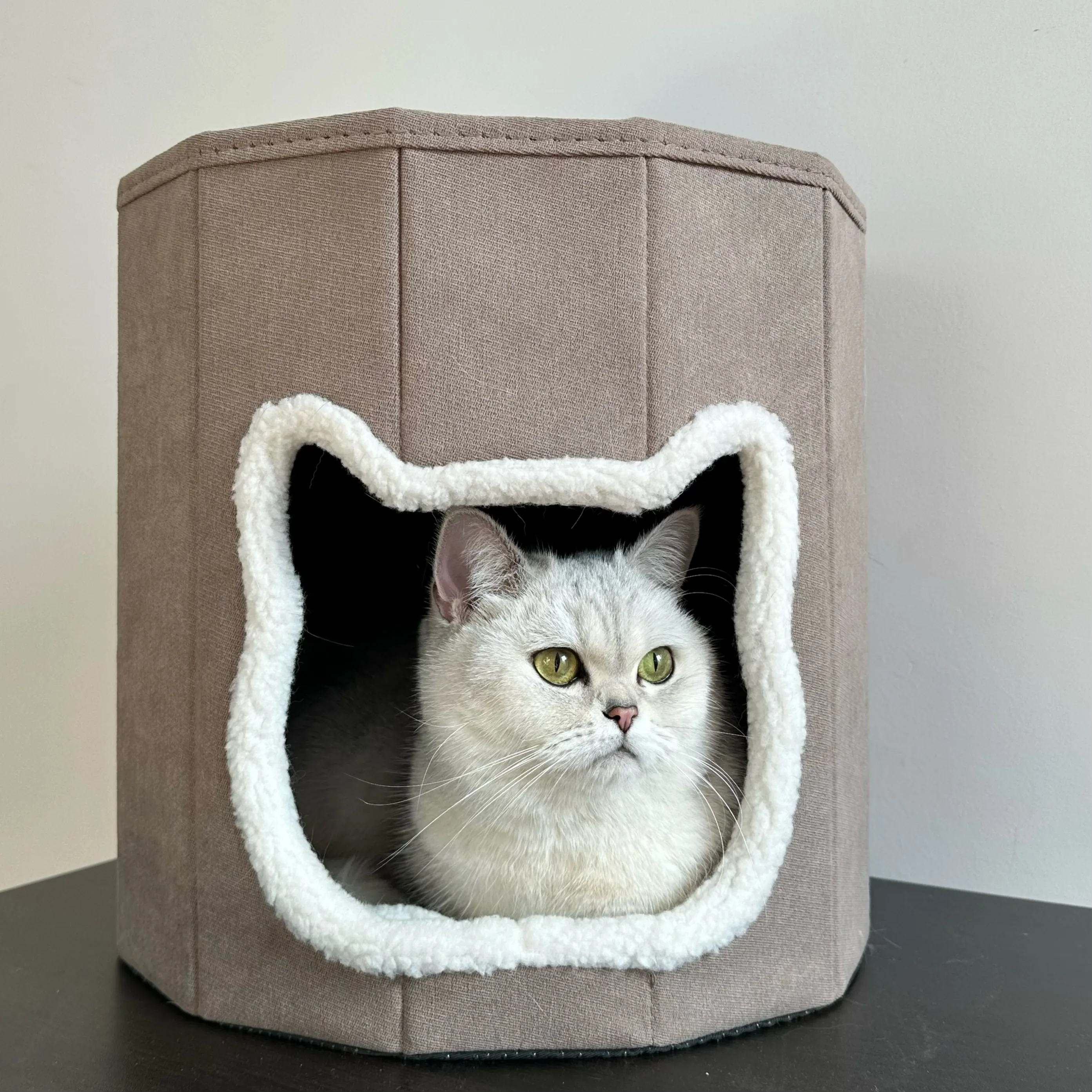 Cadre d'escalade pour chat, trou d'arbre, en Sisal épais, poteau pour chat, arbre à chat, à gratter