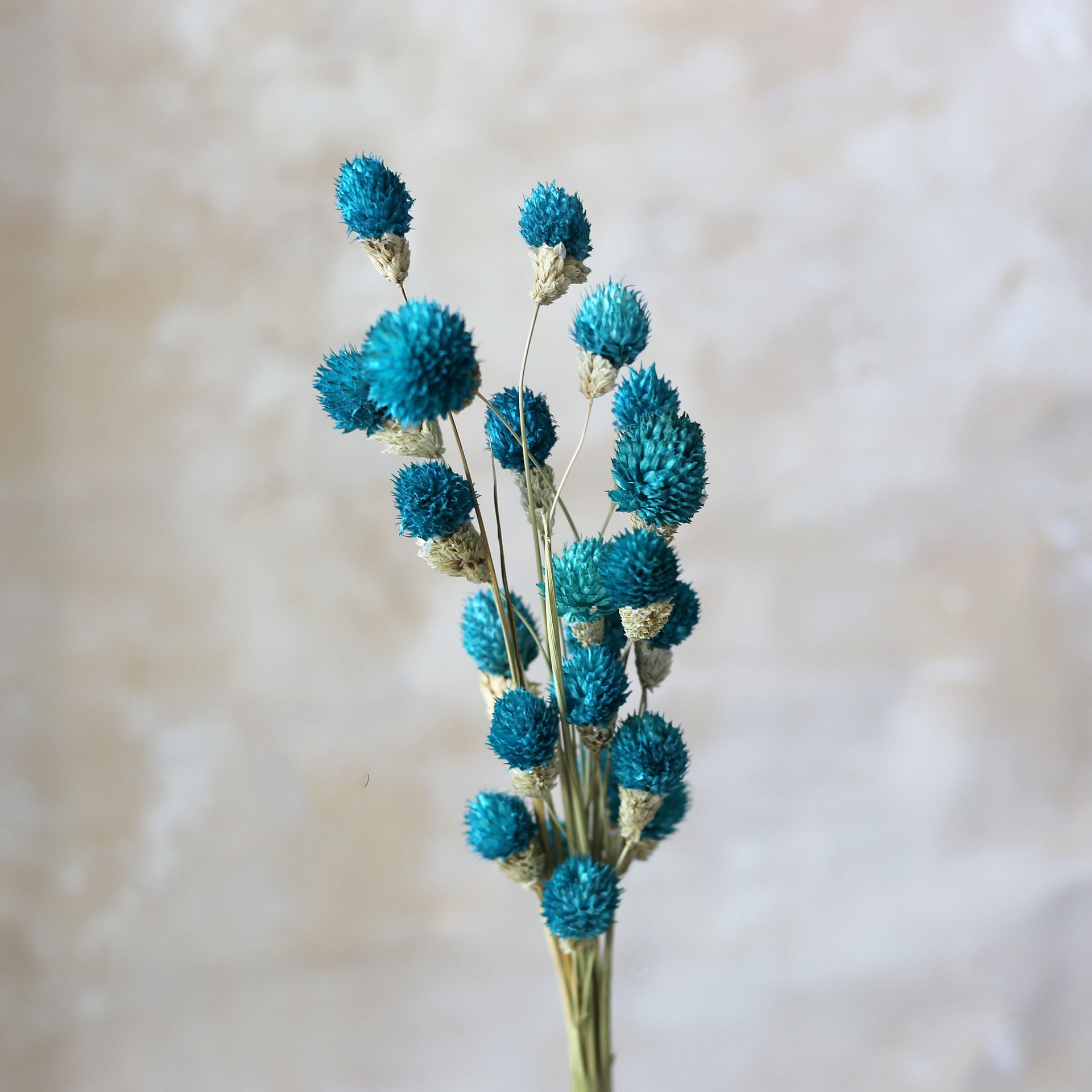 Bleu clair