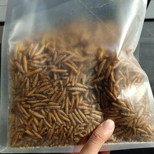 Wholesale 100% Natural Additive-free Dried Bsf Larva 1kg Per Bag Dry <strong>Food</strong> Black Soldier Fly Larvae with High Calci