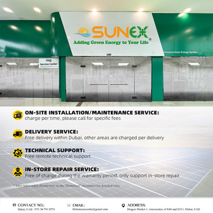 SUNEX Regulador 12V 24V USB LCD Inteligente 10A 20A 30A 40A 60A Panel de Batería PWM Controlador de Carga Solar - Product Image 6