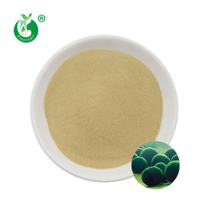Giá nhà máy bán buôn số lượng lớn do1200 CGF bột Chlorella yếu tố tăng trưởng - Product Image 1