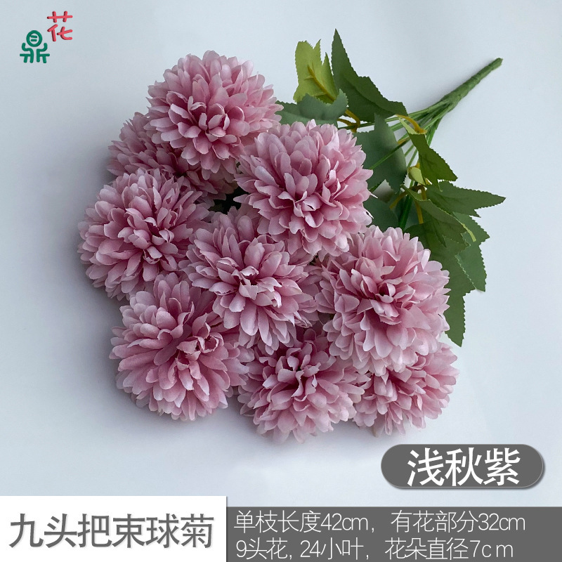 Chrysanthème à neuf têtes en violet clair d'automne