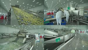 Huchuan linea di lavorazione di verdure sottaceto personalizzata