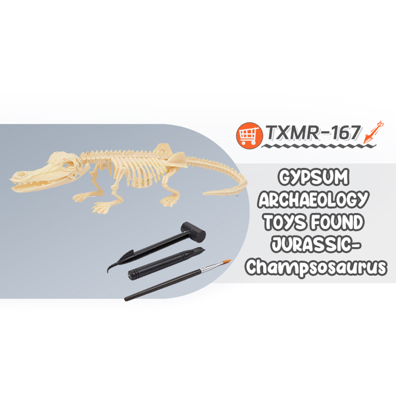 TXMR-167