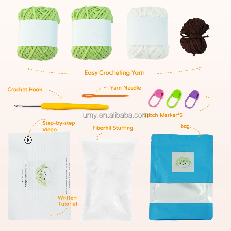 Succulent crochet kit