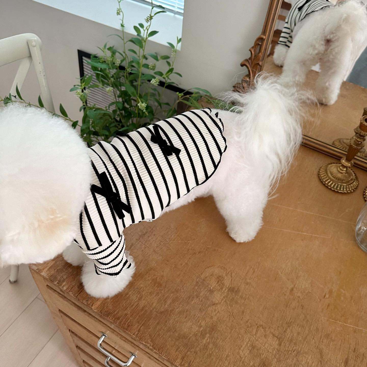 Chemise blanche