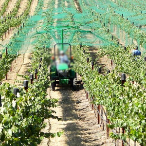 Hdpe colore verde vigneto mirtillo uva rete <span class=keywords><strong>anti</strong></span> uccelli per la protezione laghetto pesci cattura uccelli
