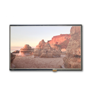 Esposizione a 10.1 pollici del touch screen dell'interfaccia di LVDS del modulo dell'esposizione di ips tft dell'affissione a cristalli liquidi 1280*800 con luminanza 1000 disponibile - Product Image 4