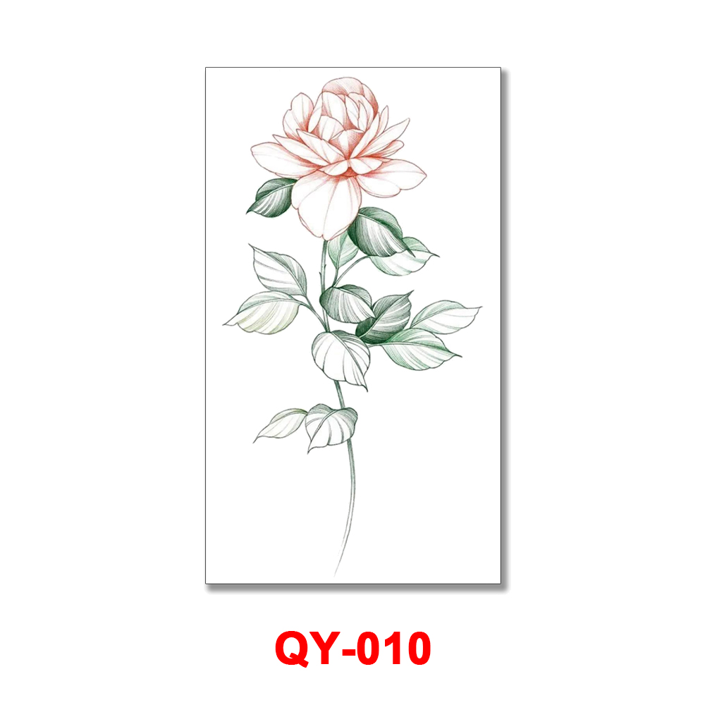 QY-10