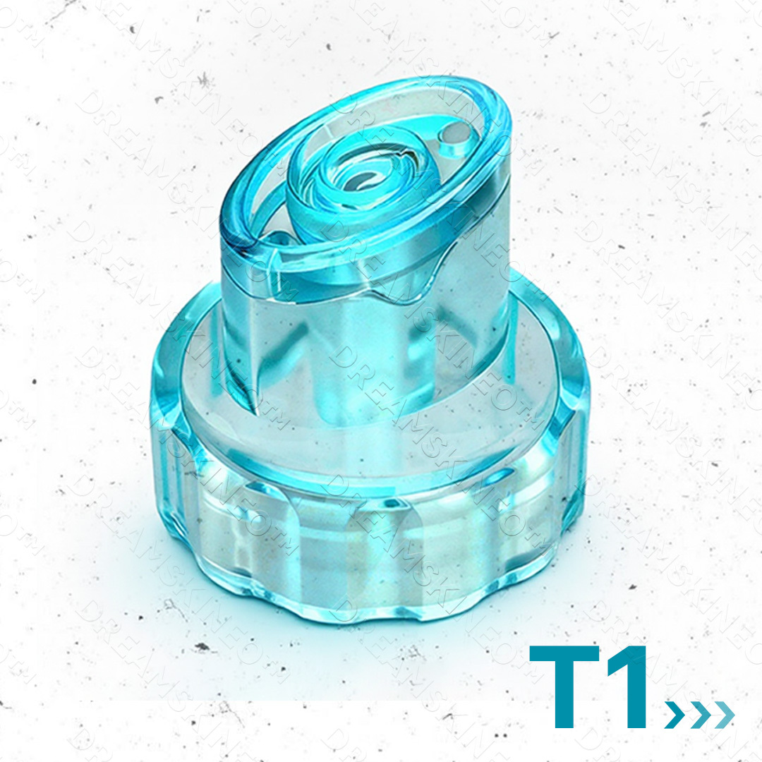 T1