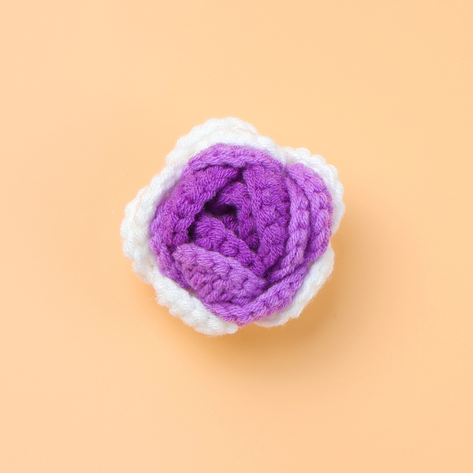 Capitule dégradé violet-rose (avec porte-fleur)