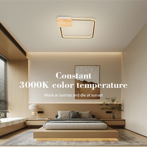 Yeni tasarım Nordic Led tavan ışık Modern Villa oturma odası yatak Loft demir çoklu renk Led tavan lambası - Product Image 5