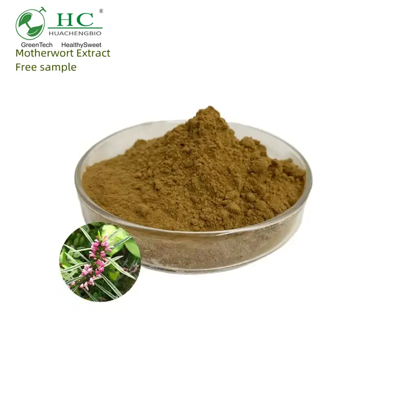 Ekstrak Tumbuhan Cina Alami Ekstrak Herbal Motherwort