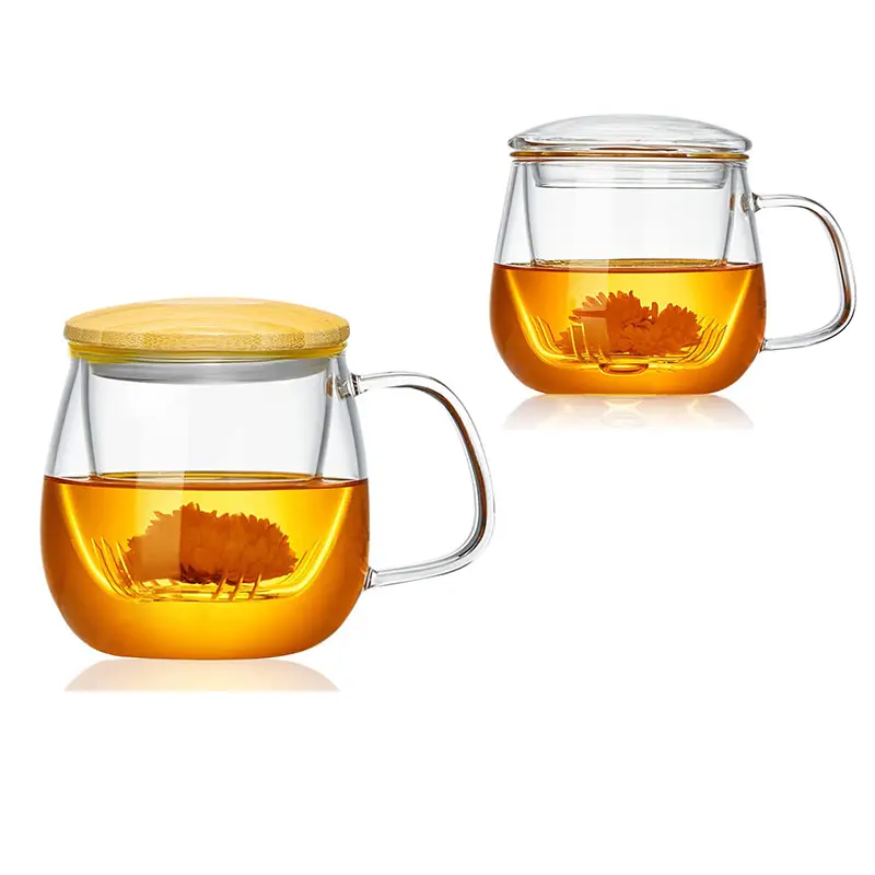 Tazas con Infusor de té de vidrio, taza de té con colador y tapa, vidrio transparente de borosilicato, resistente, para té, hojas sueltas