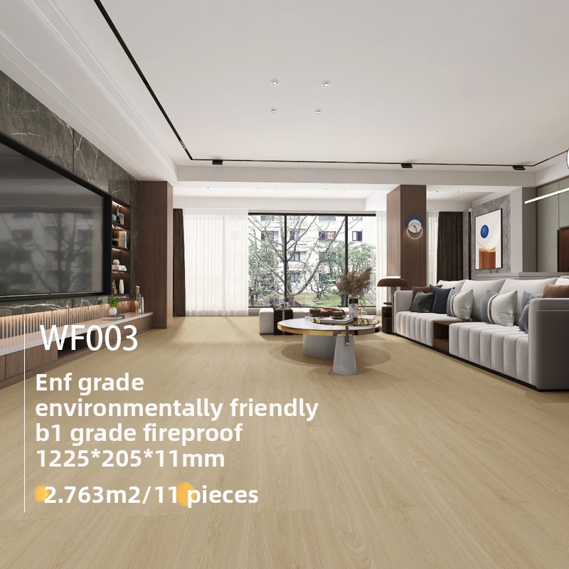 ENF Class-WF003
