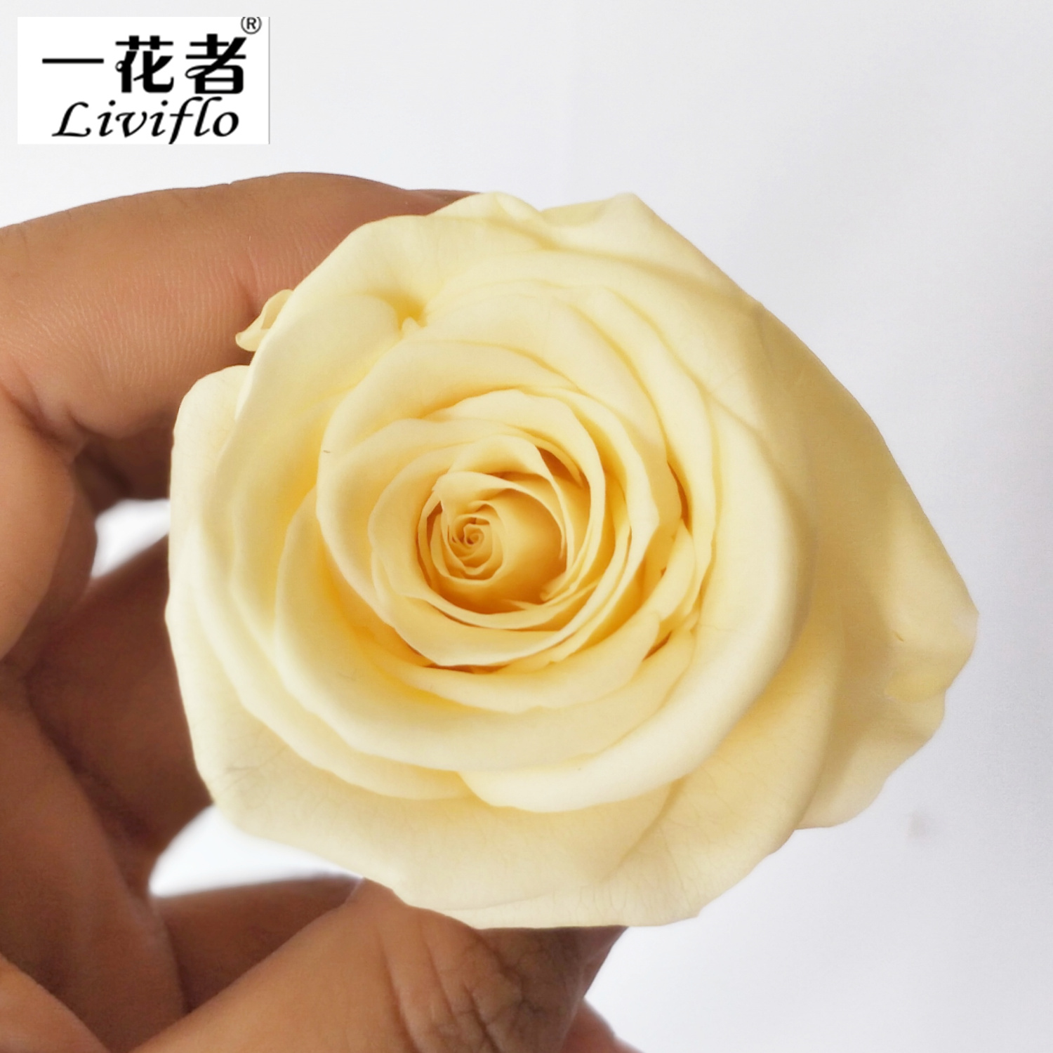 pale yellow