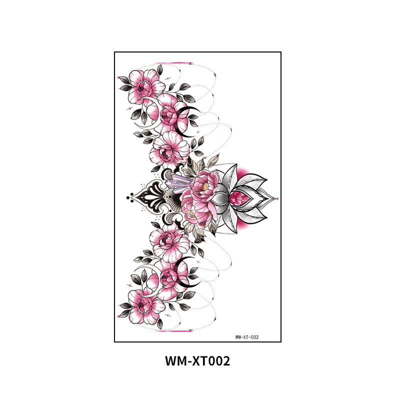 WM-XT-002