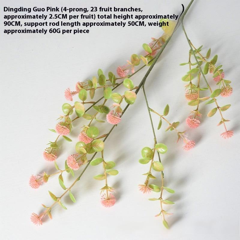 ดิงดิง ผลไม้สีชมพู