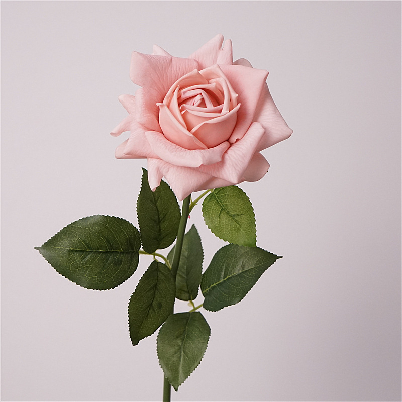 rose marron