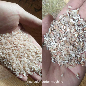 Máquina clasificadora de colores multifunción CCD, clasificación de colores/clasificación/máquina separadora, granos de café de arroz de plástico - Product Image 3