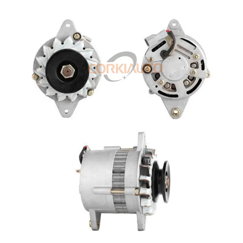 Auto alternatore per ISUZU 4BD1 4BD1T 4BG1 24V 30A 0-33000-6542 0330006542 8970222110 8970222111 12361