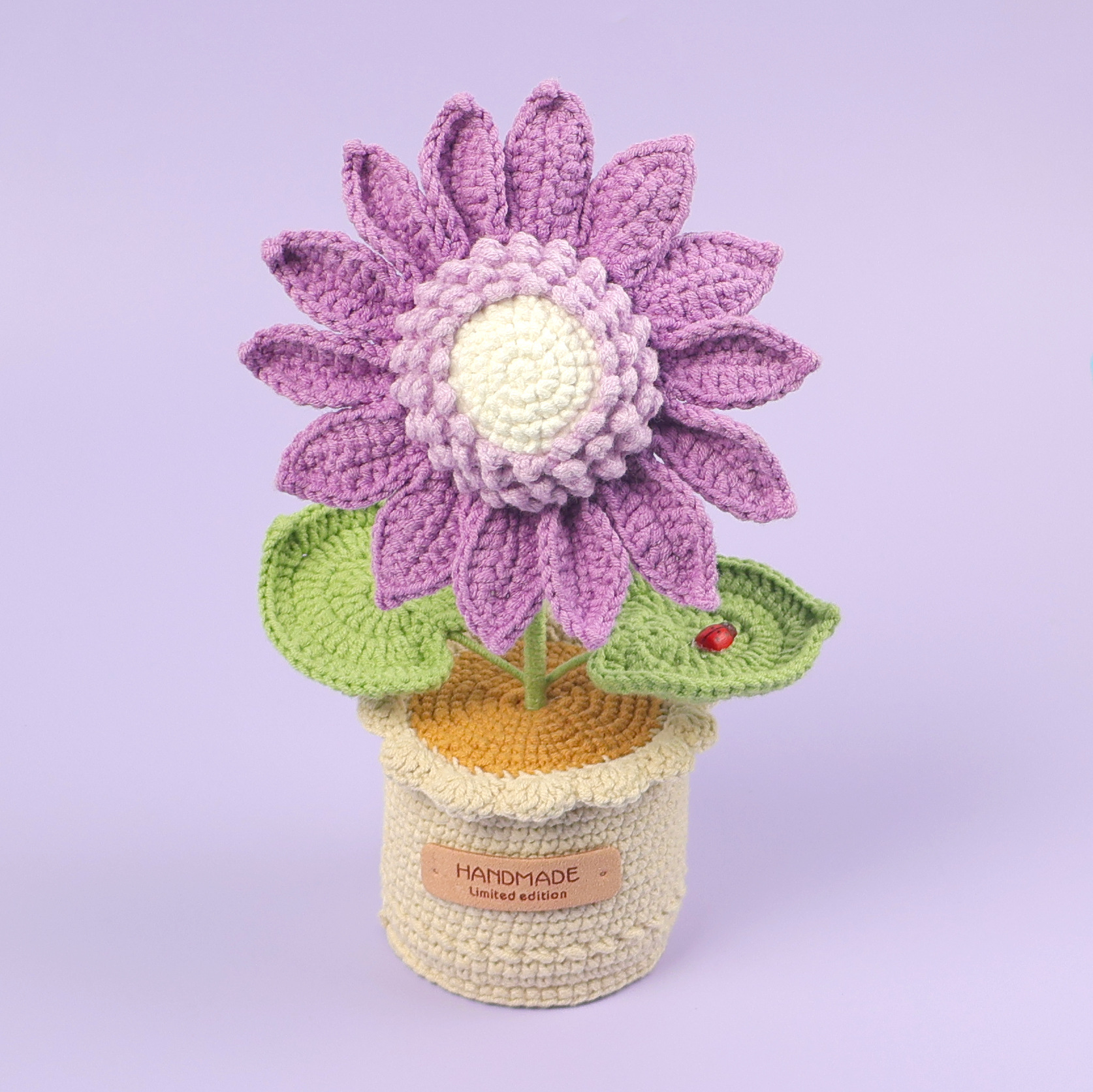 Pourpre