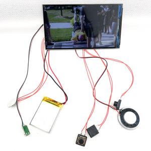 Индивидуальный 5-дюймовый модуль Tft Lcd 16:9 дисплей Tft Модуль для видео брошюры карты - Product Image 1