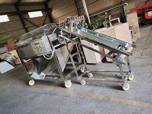 Máquina separadora de apertura de descascarado de vainas de cacao fresco para procesar desgranadoras de granos de cacao para línea de plantas cosechadoras - Product Image 2