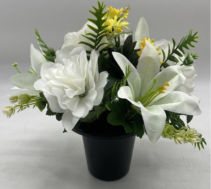 Blanco