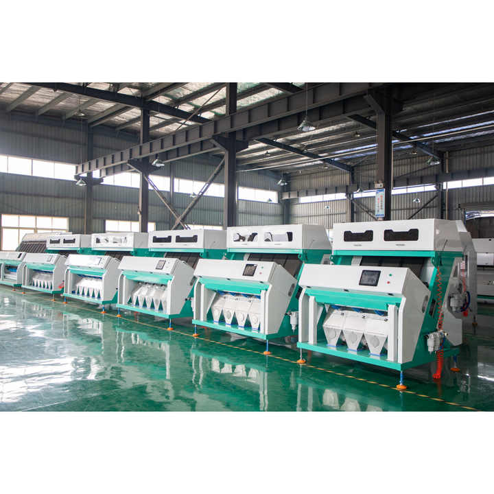 การแข่งขันราคา4 Chutes ถั่วกว้างคัดเเยกสี
