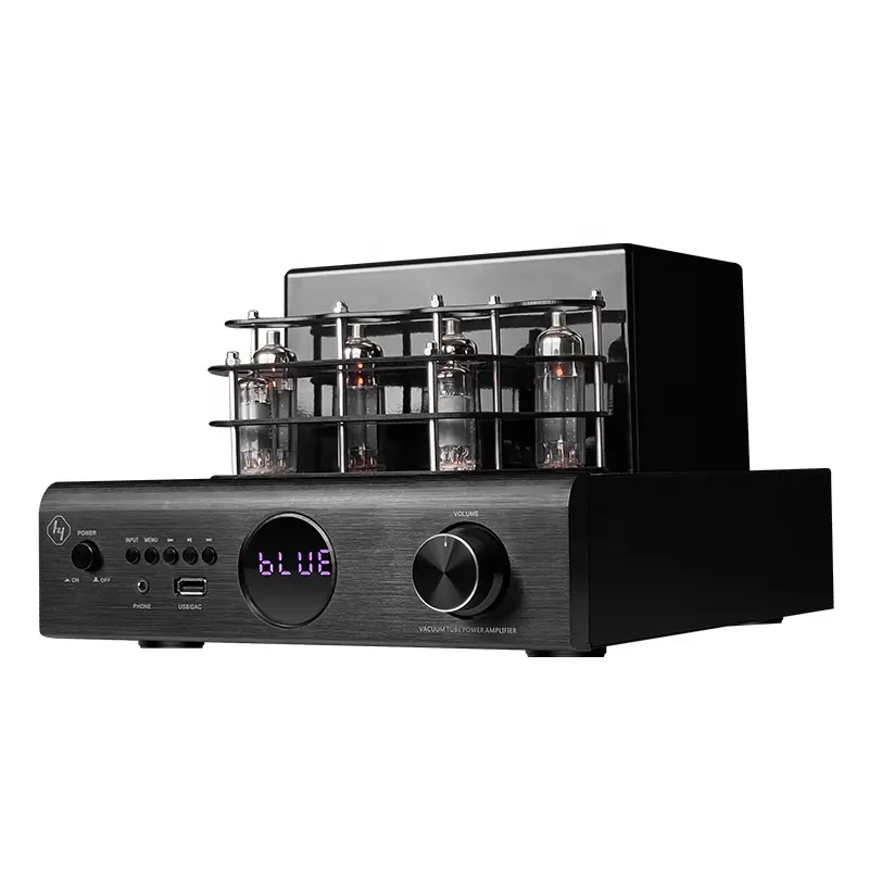 Hifi hibrid Stereo ses sistemi DSP tüp güç amplifikatörü profesyonel tüp amplifikatörler var