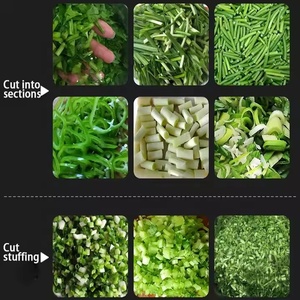 Ticari yaprak sebze kesme makinesi/leek Kale kesme makineleri/maydanoz sebze kesici - Product Image 5