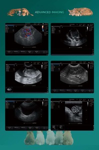 2025 giá tốt nhất Công nghệ độ chính xác cao Máy cầm tay tưởng tượng thiết bị kỹ thuật - Product Image 3