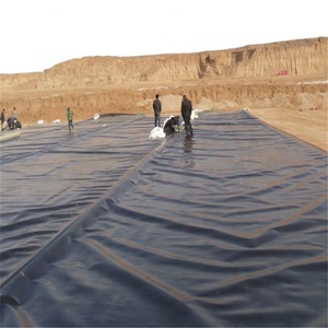 热销新款高级HDPE LDPE LLDPE PVC土工膜高品质热销产品 - Product Image 5