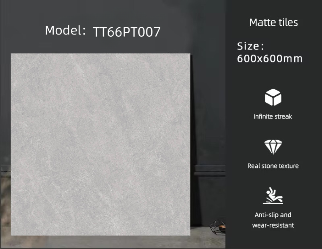 TT66PT007