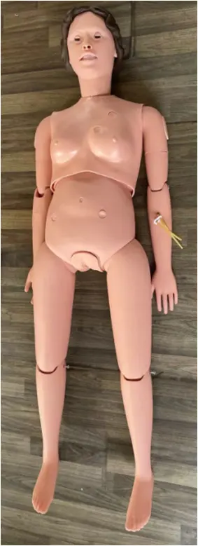 Training Mannequin Display Met Interne Organen Dummy Trauma Oefenpop Verpleging Geavanceerde Multi-Functionele Medische Mannequin