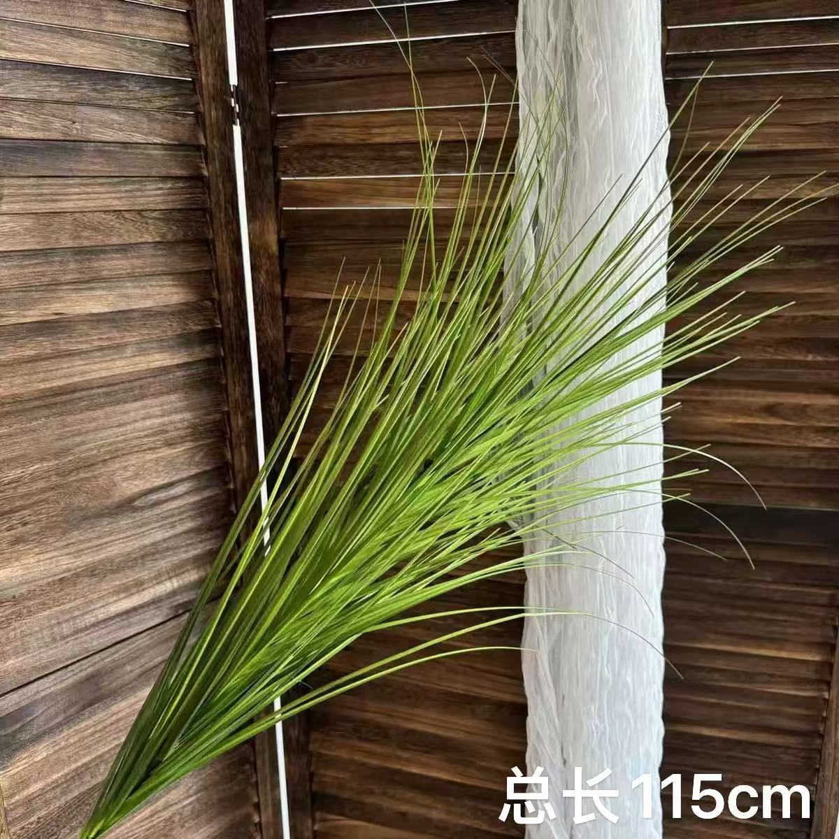 Original color dog tail grass