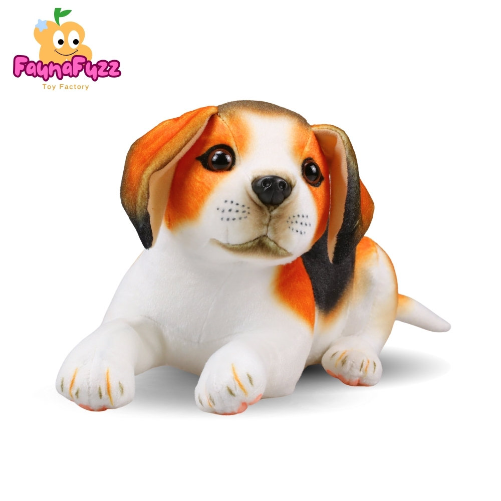 Beagle Dog