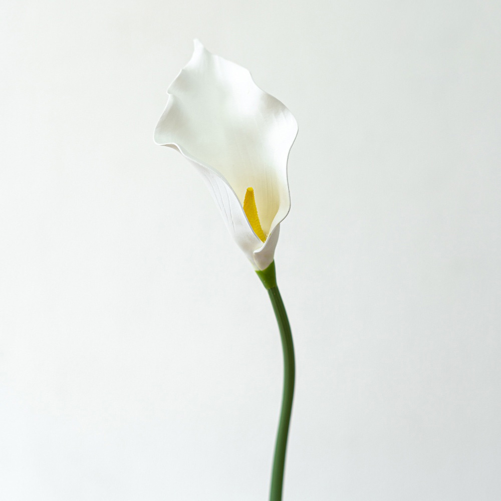 1# blanc
