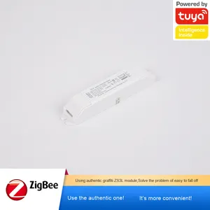 Tuya ZigBee & Bluetoothスマート照明ワイヤレスコントロールドライバー電源36V出力ディップスイッチワット数調整 - Product Image 4