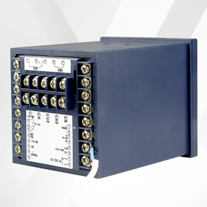 RS485 Pulse Input Integrator Relay Switching <strong>Output</strong> DC12V/DC24V Feed <strong>Output</strong> - Product Image 3