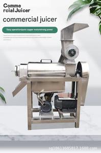 0.5-3ton büyük meyve hamuru suyu ayırıcı sarı şeftali üzüm narenciye dikenli armut ananas çıkarıcı zencefil büfe tipi meyve sıkacağı - Product Image 4