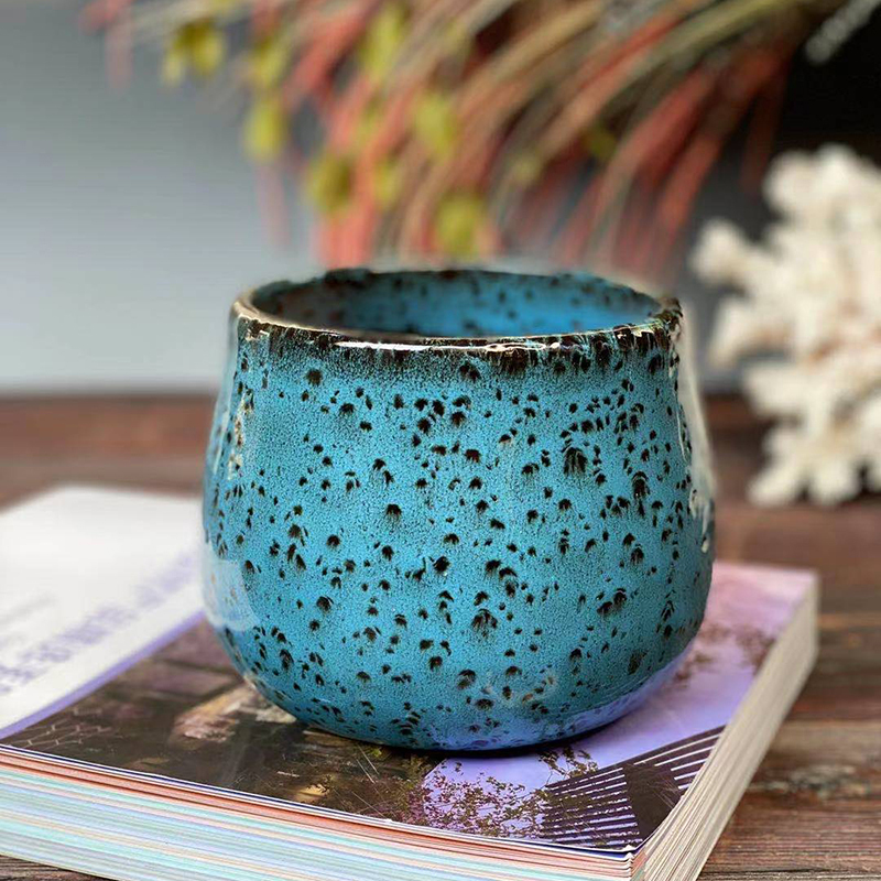 Bleu forêt tropicale