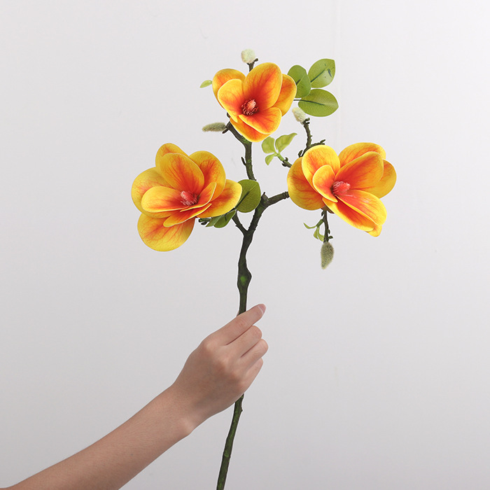 Large bowl orange magnolia flowers 60cm